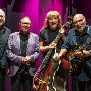 Auf dem Bild sind die vier Musiker der Matchbox Bluesband zu sehen.